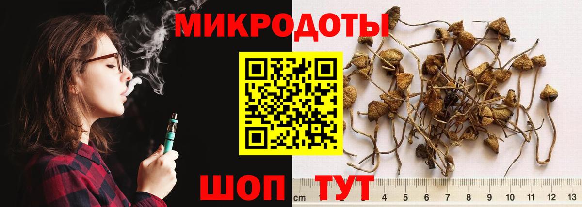 Галлюциногенные грибы GOLDEN TEACHER  Псилоцибиновые грибы Psilocybine cubensis  Вход с VPN  Тверь 