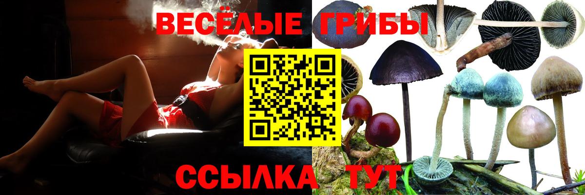 Галлюциногенные грибы ЛСД Тверь